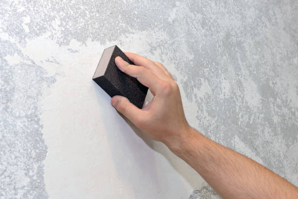 Best Water Damage & Mold Remediation  in Spartanburg, SC