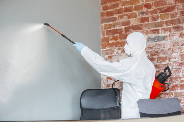 Best Crawl Space Mold Remediation  in Spartanburg, SC