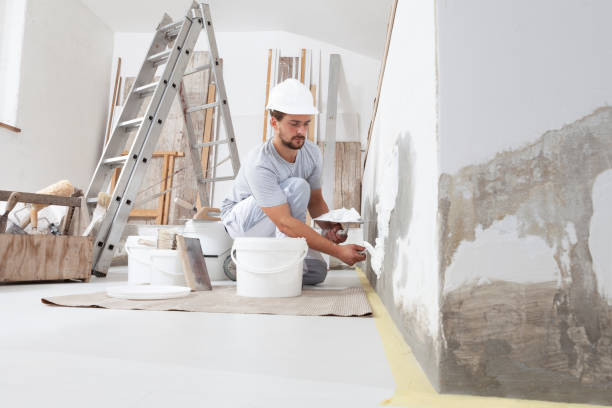 Best Mold-Related Health Consultation  in Spartanburg, SC