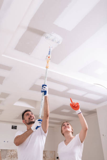 Best Mold Odor Removal Services  in Spartanburg, SC