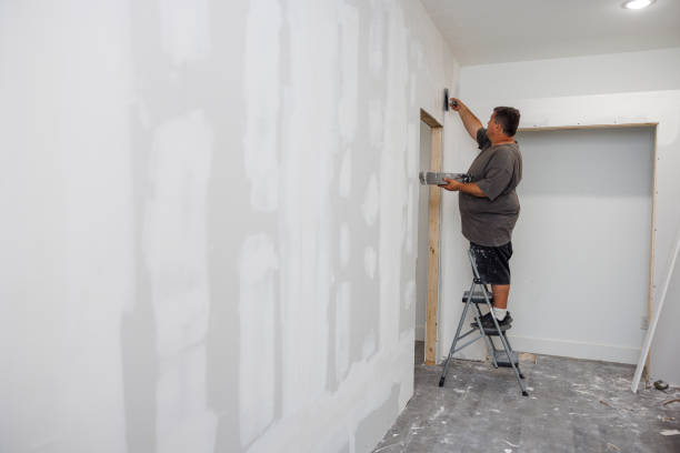 Mold Documentation for Insurance Claims in Spartanburg, SC