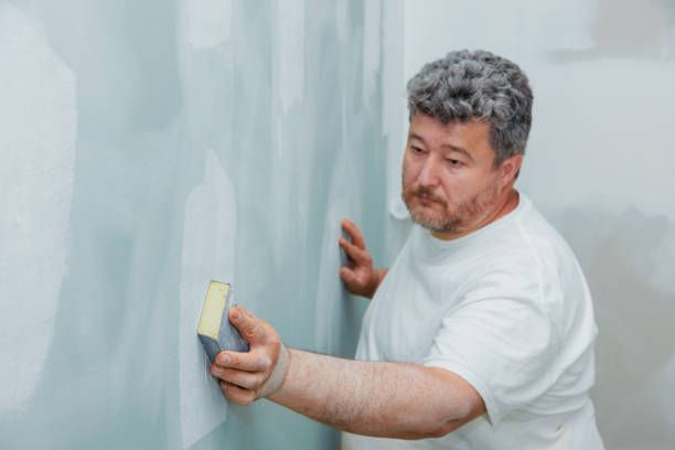 Best Post-Construction Mold Inspection  in Spartanburg, SC