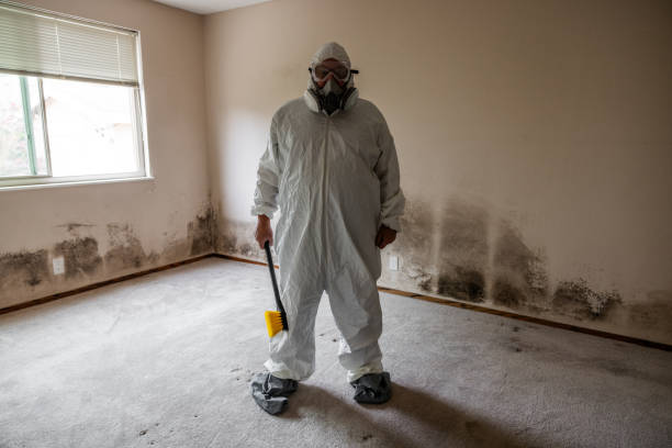 Best Commercial Mold Inspection  in Spartanburg, SC
