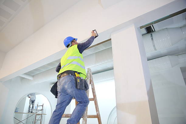 Best Comprehensive Air Testing for Mold Contaminants  in Spartanburg, SC
