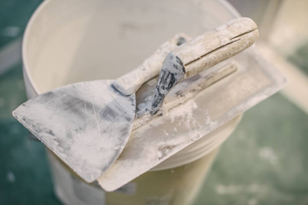 Best Mold Remediation for Healthcare Facilities  in Spartanburg, SC