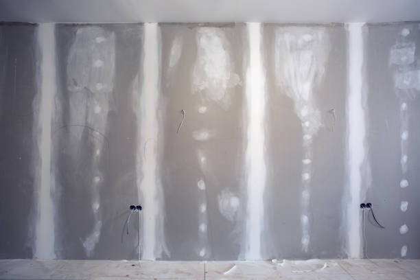 Spartanburg, SC Mold Removal Company