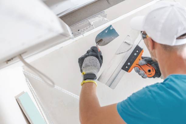 Best Black Mold Removal  in Spartanburg, SC